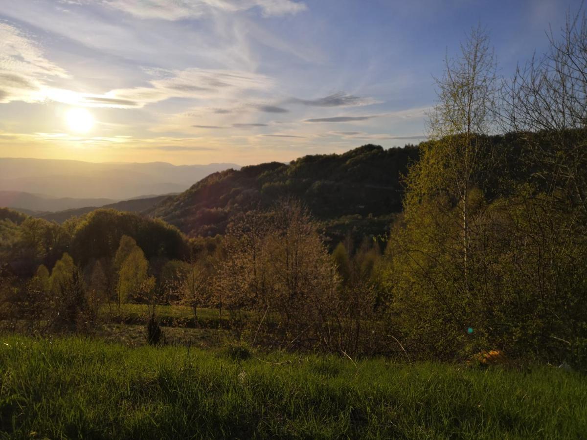 Sky Cabin Apartments Kopaonik Dış mekan fotoğraf