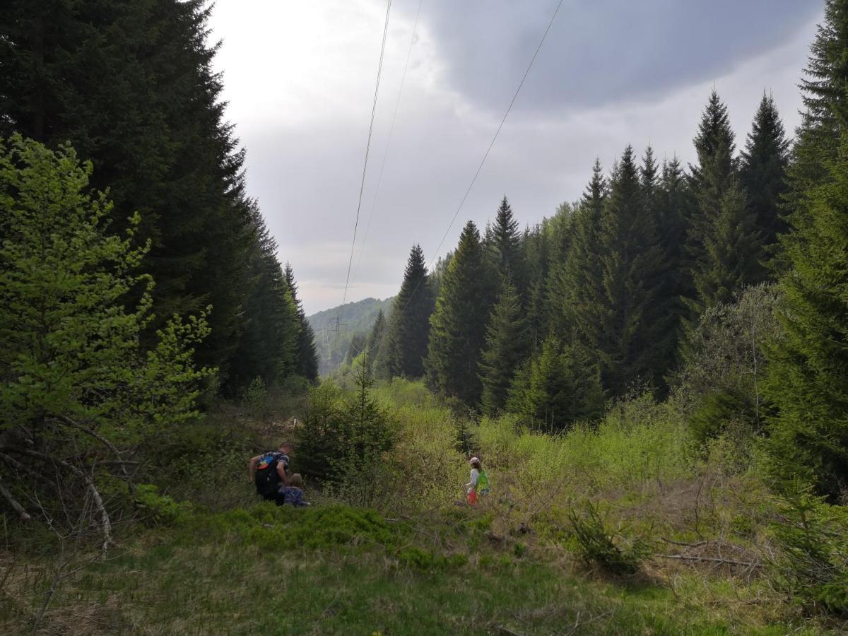 Sky Cabin Apartments Kopaonik Dış mekan fotoğraf